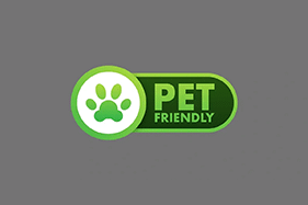 Pet-friendly cleaning service